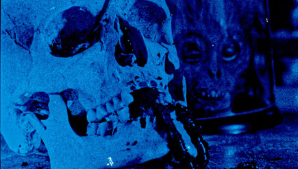 Frankenstein Fragment