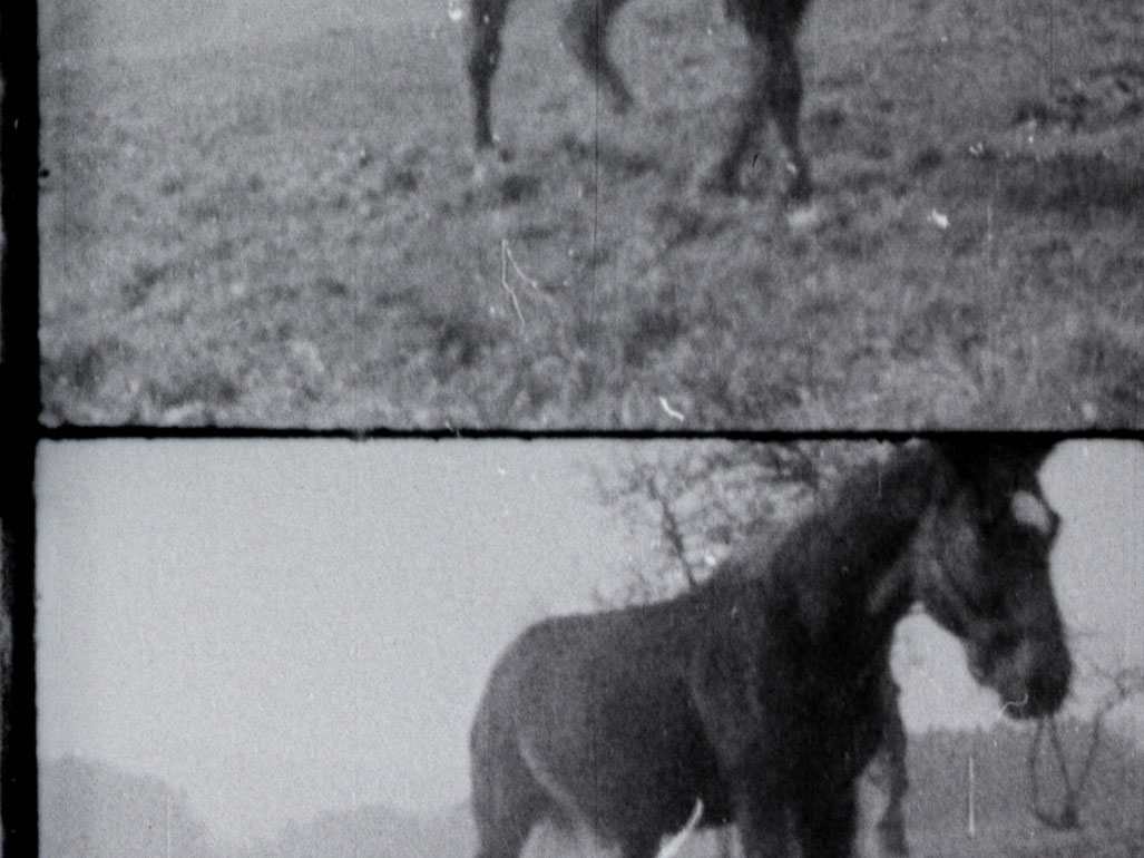 Golan_ViktoriaSchmid_Still2_Courtesysixpackflim