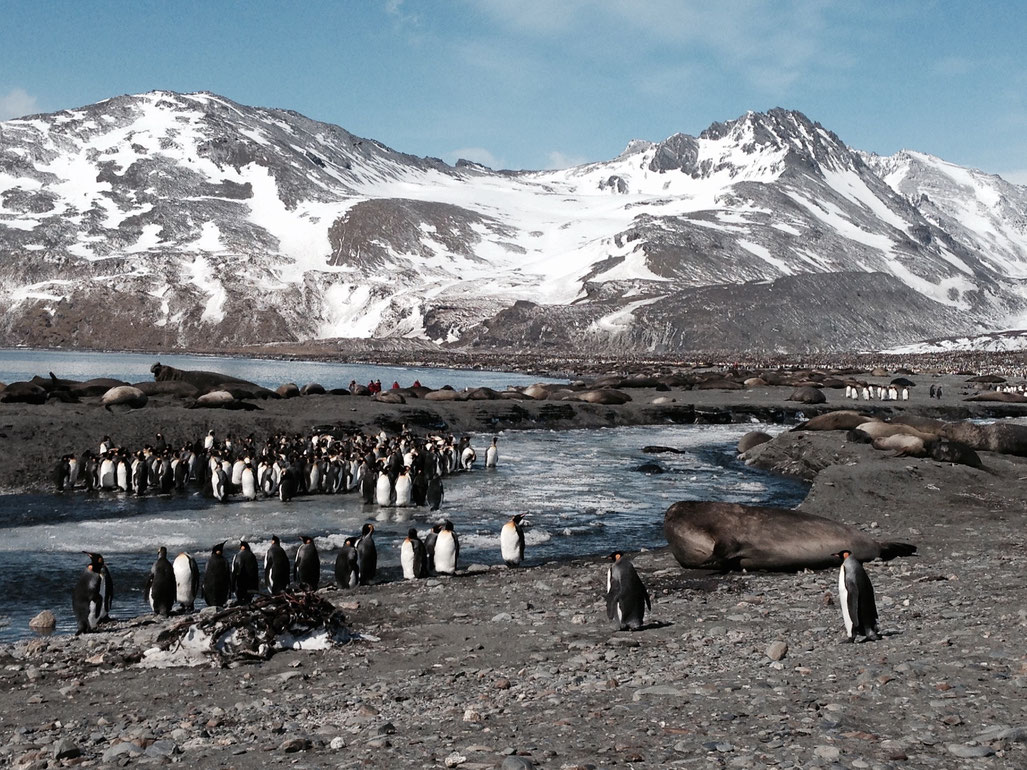 Antarctic Traces