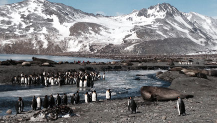 Antarctic Traces