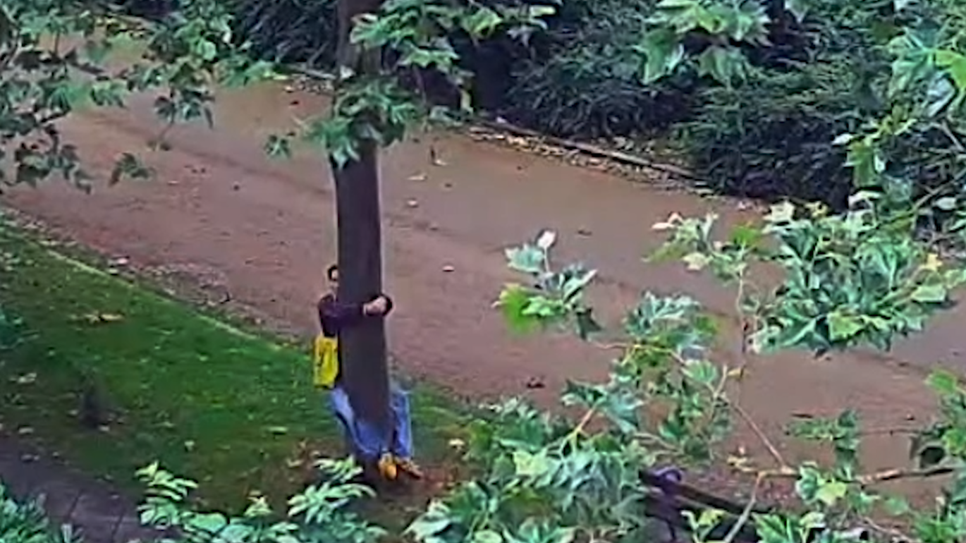 Film und_ #9 Queer “Home Movies”